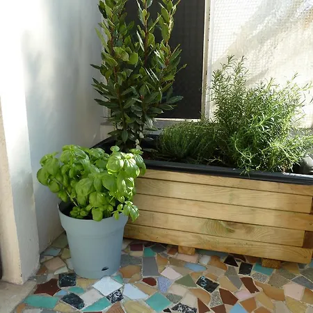 Appartement Les Floralies Antibes